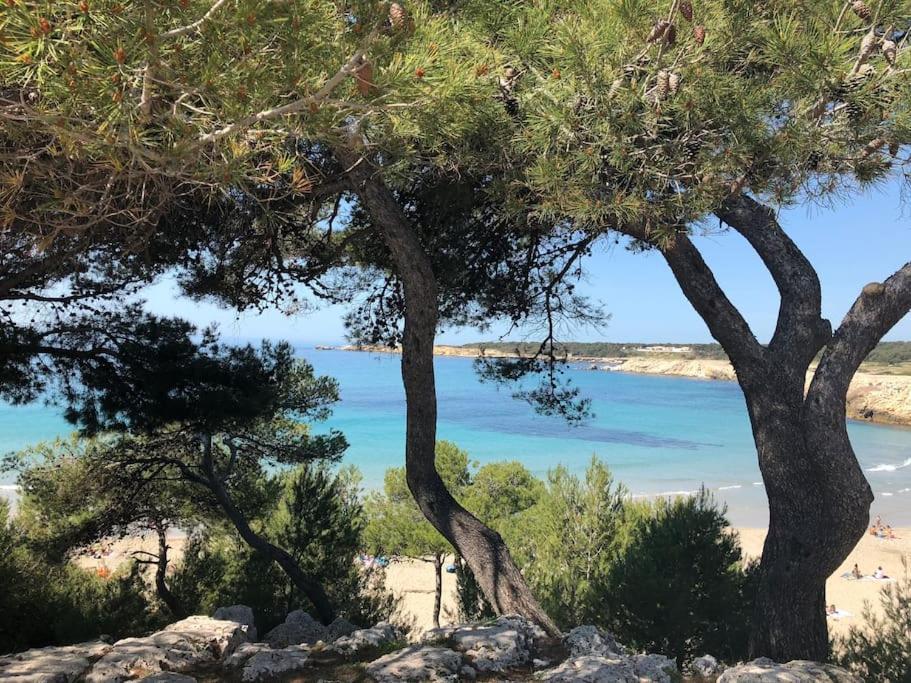 Mazet Provencal Au Coeur Des Alpilles La Reverie Maussane-les-Alpilles Esterno foto
