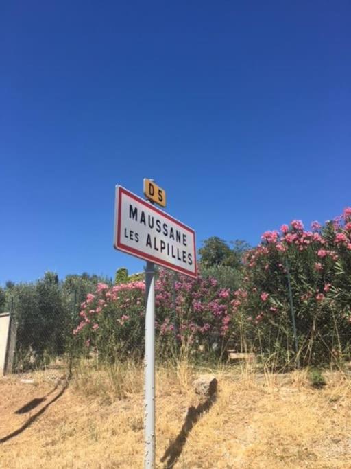 Mazet Provencal Au Coeur Des Alpilles La Reverie Maussane-les-Alpilles Esterno foto
