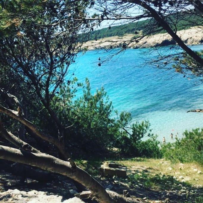 Mazet Provencal Au Coeur Des Alpilles La Reverie Maussane-les-Alpilles Esterno foto